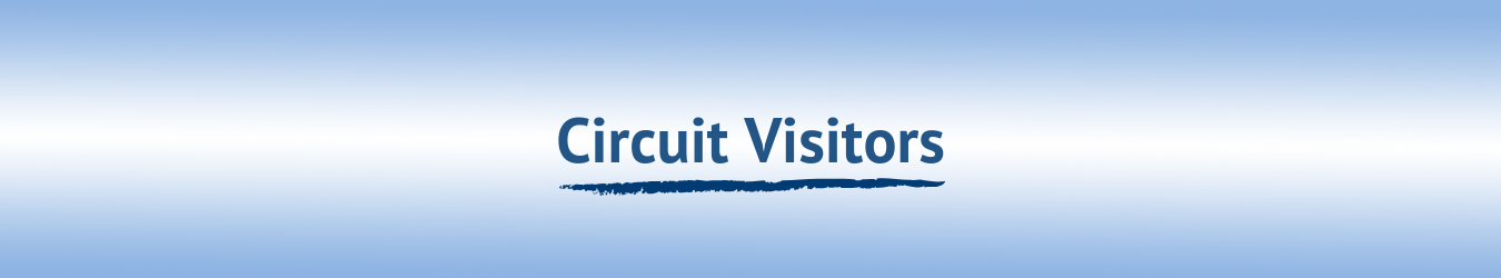 Circuit Visitors